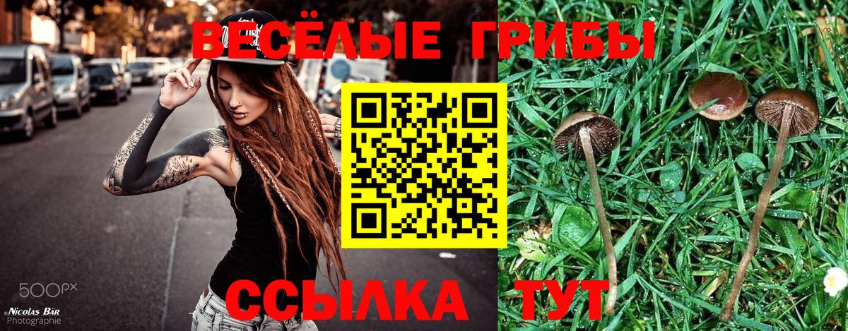 Псилоцибиновые грибы прущие грибы Учалы